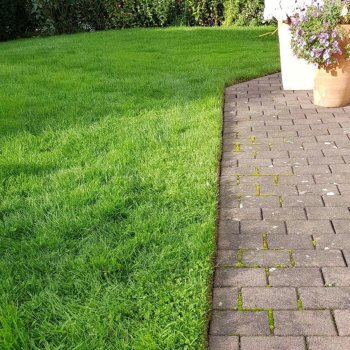 Rasenknatenboy lawn edging straight cut edge